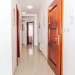 Mediterranean Blue Apartment Dubrovnik